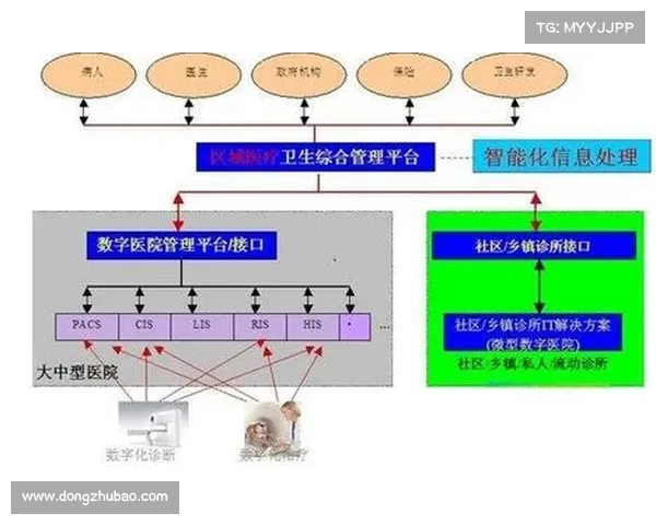 NBA效率值解析与球员表现评估的深度剖析与实践应用