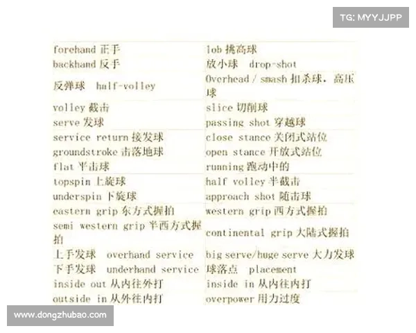 网球比赛评分规则全面解析与细节解读：从发球到最终得分的全程解析