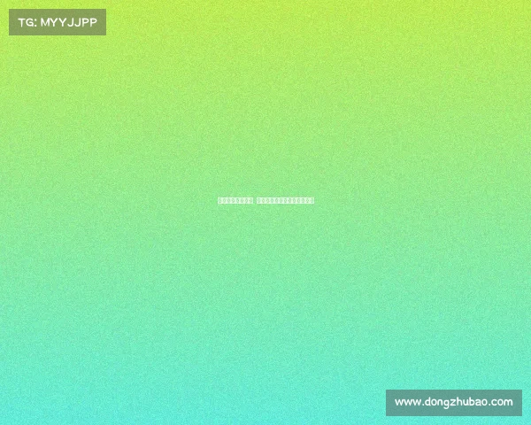 英超老将风采展现 赛场经验与拼搏精神铸就传奇