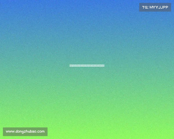 以斯特拉斯堡为中心探索欧洲文化交融与历史遗产之美 以斯特拉斯堡为中心探索欧洲文化交融与历史遗产之美