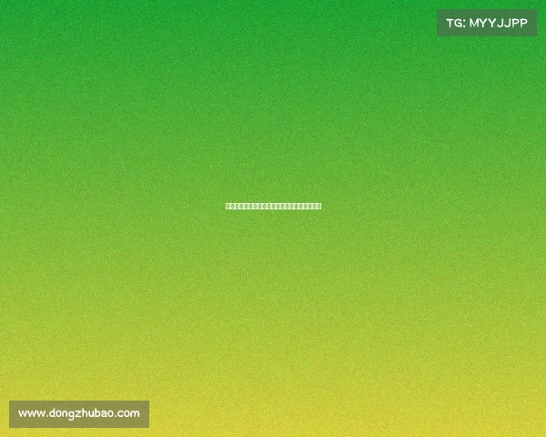 费内巴切欲引进恰尔汗奥卢并计划任命其为队长