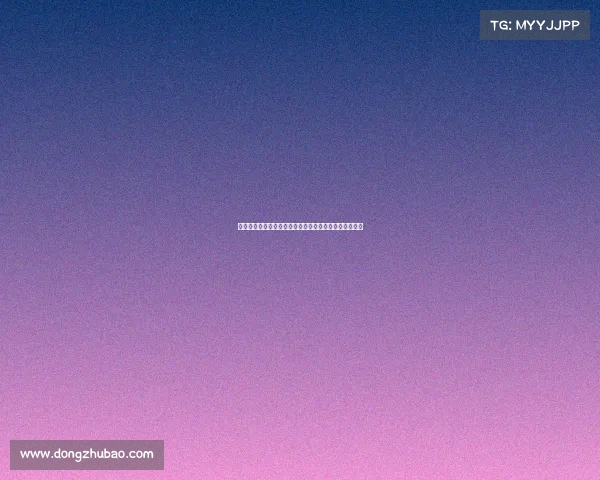 电讯报：热刺引进帕利尼亚优于吉布斯怀特更能提升实力