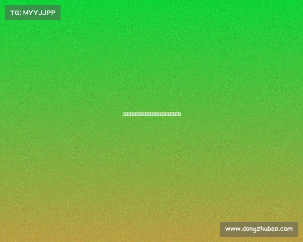 米兰小将科莫托租借加盟意乙斯佩齐亚队开启新征程