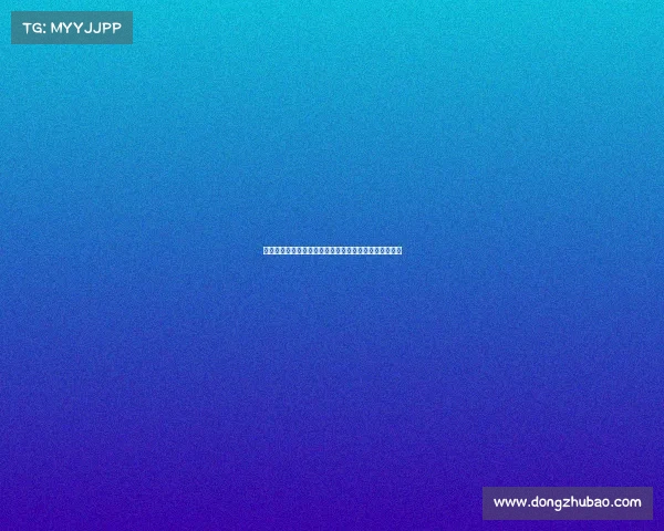 法甲联赛非洲杯球员表现分析及其对球队影响的深度探讨